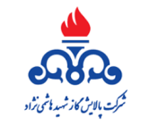 palayesh_hashemi